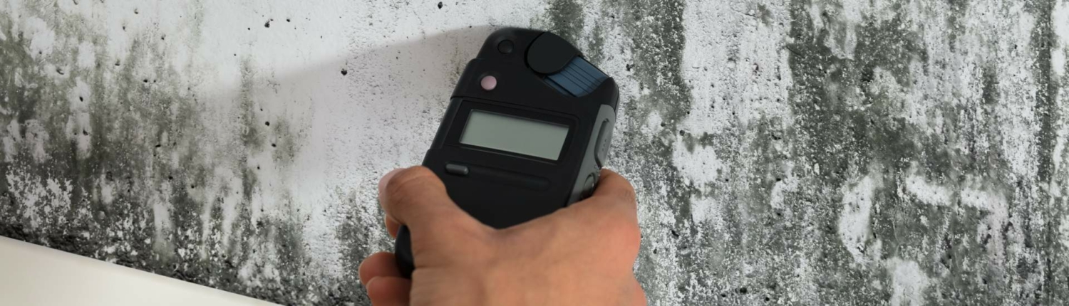 Mold Test