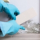 Mold Testing